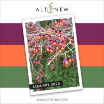 Altenew-January2020-InpirationChallenge
